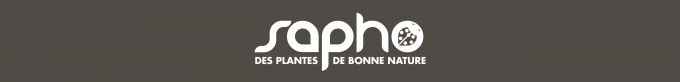 SAPHO
